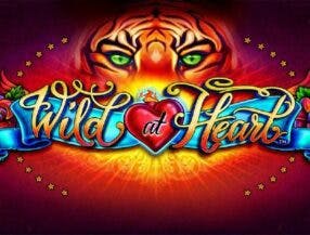 dreams casino 0 free chip